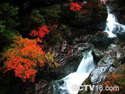 五女峰国家级森林公园风景图