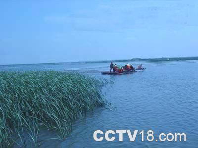 查干湖自然保护区风景图