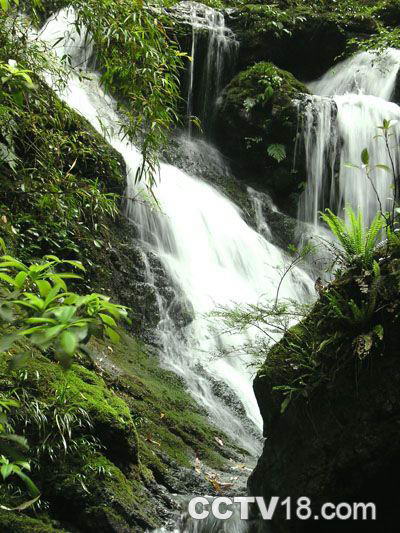 黑山谷生态旅游区风景图